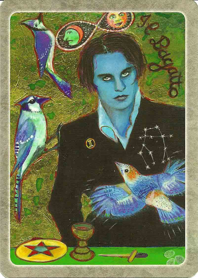 The Secret Language of Birds Oracle Cards
